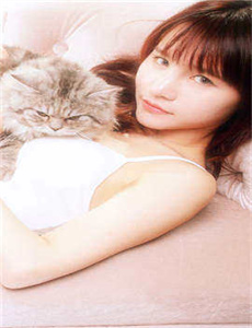 男人非礼美女-320电影网